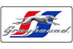 greyhound-2